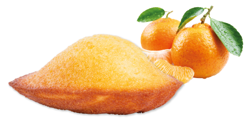Citrus Madeleine