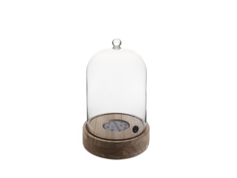 Cocktail Base Kit with Cloche