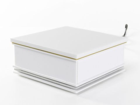 Tesla Station with Plug