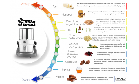 Twin Stones Wet Grinder