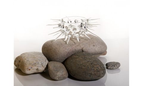 Sea Urchin Glass