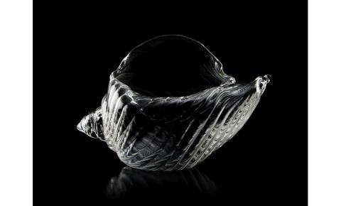 Seashell Glass